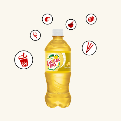 Canada Dry Pineapple